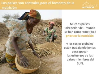 Muchos países
alrededor del mundo
se han comprometido a
priorizar la nutrición
y los socios globales
están trabajando juntos
para apoyar
los esfuerzos de los
países miembros del
SUN.
Los países son centrales para el fomento de la
nutrición
 