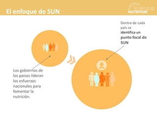 El enfoque de SUN
Los gobiernos de
los países lideran
los esfuerzos
nacionales para
fomentar la
nutrición.
Dentro de cada
país se
identifica un
punto focal de
SUN
 