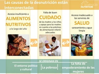 SE ORIGINAN EN
La pobreza
La falta de
empoderamiento de las
mujeres
El entorno político
y cultural
Acceso insuficiente a
ALIMENTOS
NUTRITIVOS
a lo largo del año
Falta de buen
CUIDADO
de las madres y los niños
y apoyo para las madres
en cuanto a las prácticas
de alimentación infantil
adecuadas
Acceso inadecuado a
los servicios de
SALUD
saneamiento y agua
limpia
Las causas de la desnutrición están
interconectadas
 