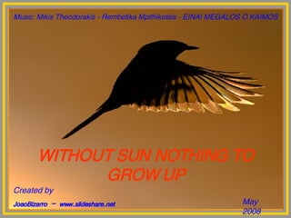 Created by JoaoBizarro – www.slideshare.net May 2008 WITHOUT SUN NOTHING TO GROW UP Music: Mikis Theodorakis - Rembetika Mpithikotsis - EINAI MEGALOS O KAIMOS
