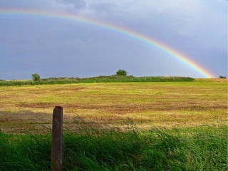 Spirit&Growth of xmu lectureinfo