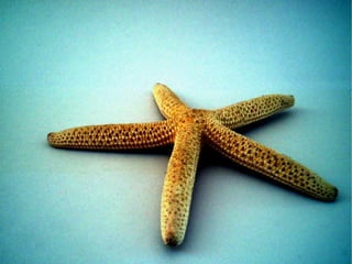 Spirit&Growth of xmu lectureinfo