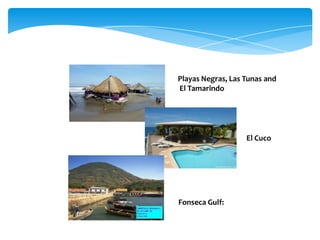Playas Negras, Las Tunas and
El Tamarindo




                   El Cuco




Fonseca Gulf:
 