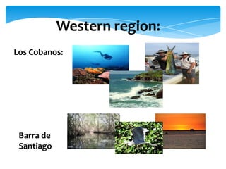 Western region:
Los Cobanos:




 Barra de
 Santiago
 