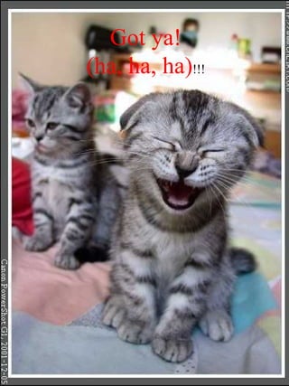 Got ya! (ha, ha, ha) !!! 
