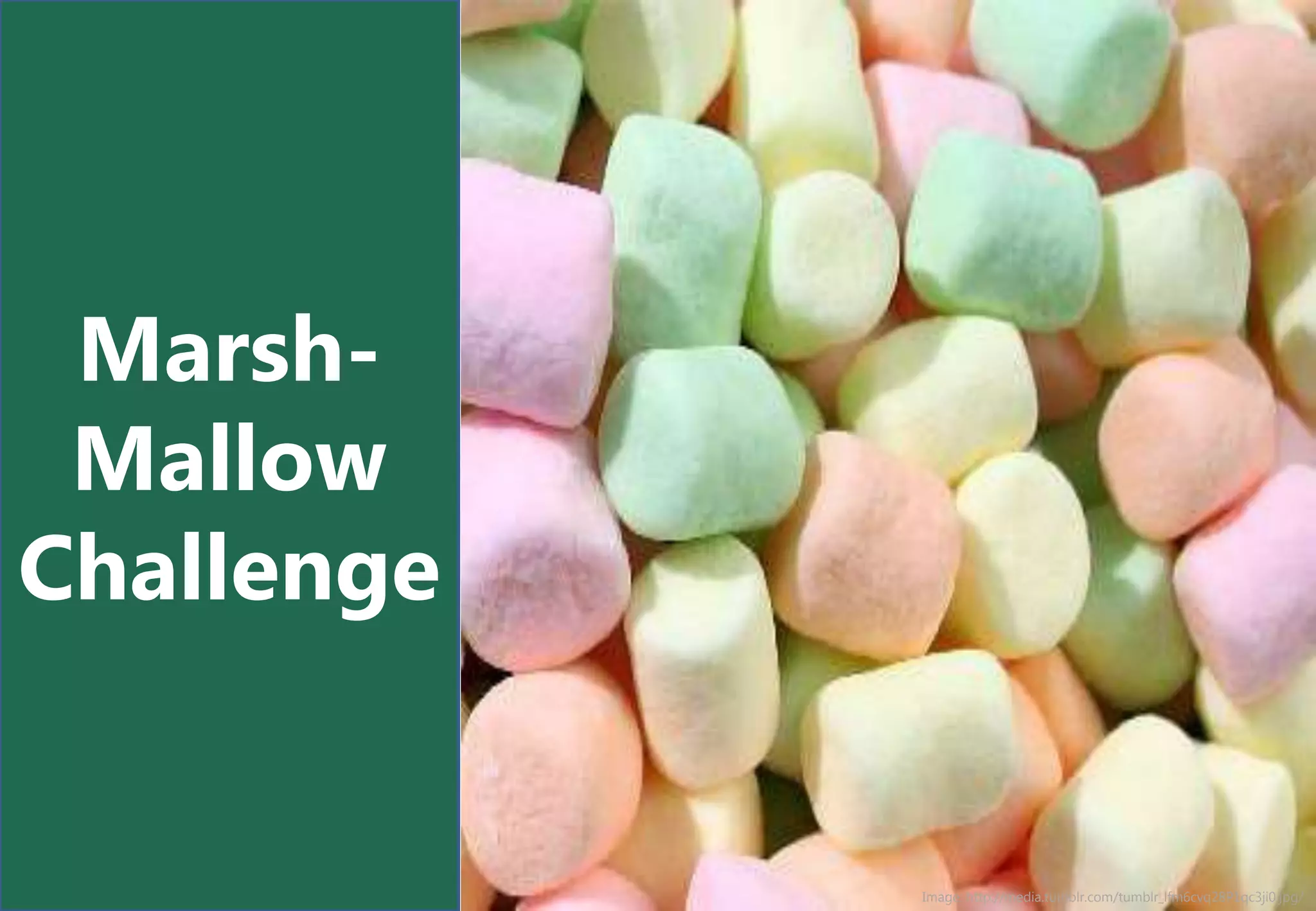 Marsh-
 Mallow
Challenge


            Image: http://media.tumblr.com/tumblr_lfm6cvq28P1qc3ji0.jpg/
 