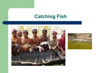 Catching Fish 