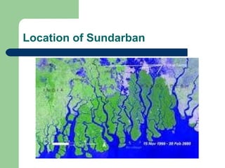 Location of Sundarban 