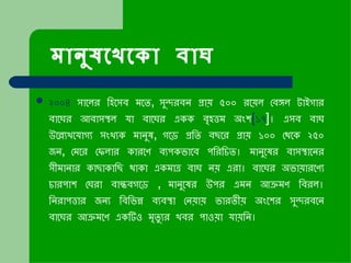   মানুষখেকো বাঘ ২০০৪  সালের হিসেব মতে ,  সুন্দরবন প্রায় ৫০০ রয়েল বেঙ্গল টাইগার বাঘের আবাসস্থল যা বাঘের একক বৃহত্তম অংশ [ ১৭ ] ।  এসব বাঘ উল্ল্যেখযোগ্য সংখ্যক মানুষ ,  গড়ে প্রতি বছরে প্রায় ১০০ থেকে ২৫০ জন ,  মেরে ফেলার কারণে ব্যপকভাবে পরিচিত ।  মানুষের বাসস্থানের সীমানার কাছাকাছি থাকা একমাত্র বাঘ নয় এরা ।  বাঘের অভায়ারণ্যে চারপাশ ঘেরা বান্ধবগড়ে  ,  মানুষের উপর এমন আক্রমণ বিরল ।  নিরাপত্তার জন্য বিভিন্ন ব্যবস্থা নেয়ায় ভারতীয় অংশের সুন্দরবনে বাঘের আক্রমণে একটিও মৃত্যুর খবর পাওয়া যায়নি ।   