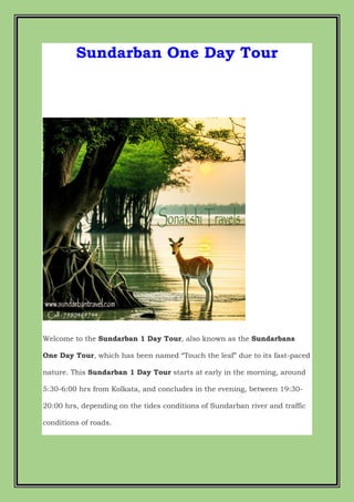 Sundarban One Day Tour
Welcome to the Sundarban 1 Day Tour, also known as the Sundarbans
One Day Tour, which has been named “Touch the leaf” due to its fast-paced
nature. This Sundarban 1 Day Tour starts at early in the morning, around
5:30-6:00 hrs from Kolkata, and concludes in the evening, between 19:30-
20:00 hrs, depending on the tides conditions of Sundarban river and traffic
conditions of roads.
 