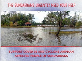 the sundarbans urgently need your help
SUPPORT COVID-19 AND CYCLONE AMPHAN
AFFECTED PEOPLE OF SUNDARBANS
 