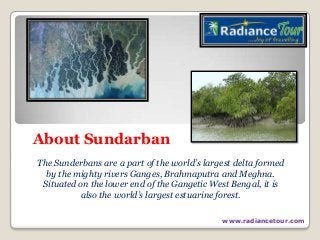 About Sundarban
The Sunderbans are a part of the world’s largest delta formed
by the mighty rivers Ganges, Brahmaputra and Meghna.
Situated on the lower end of the Gangetic West Bengal, it is
also the world’s largest estuarine forest.
www.radiancetour.com

 