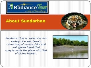 About Sundarban

Sundarban has an extensive rich
variety of scenic beauty
comprising of serene delta and
lush green forest that
complements the place with that
of divine heaven.

 