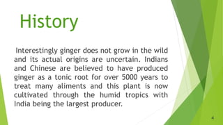 Sundas presentation uses of ginger as a nutraceutical .pptx