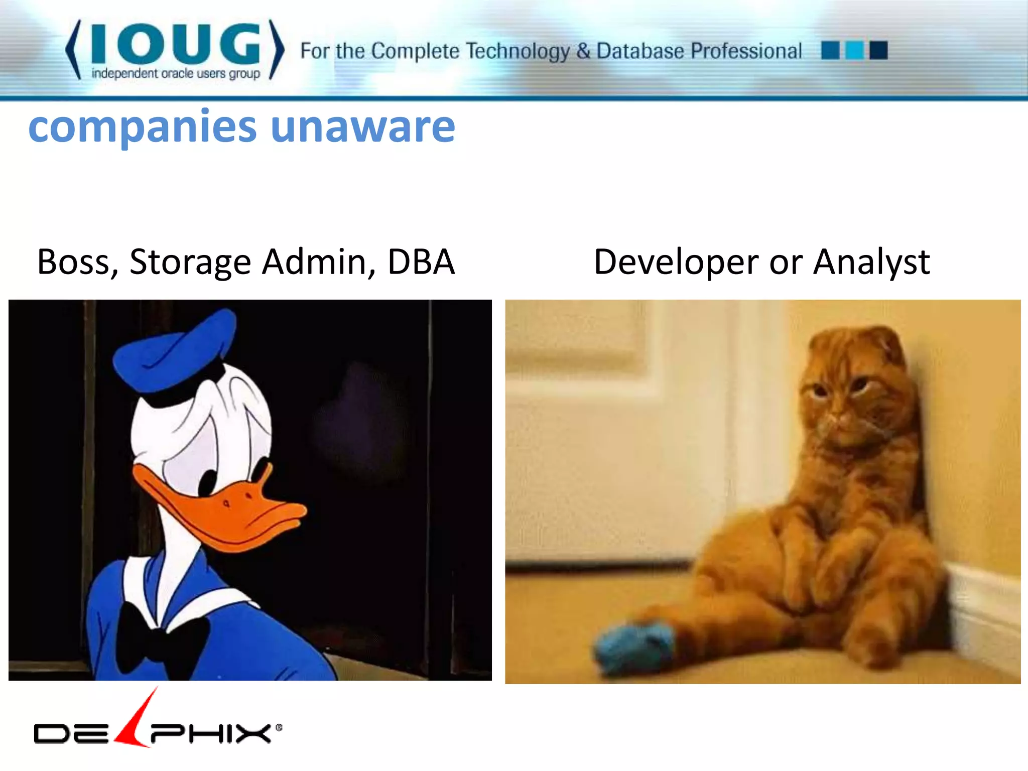 companies unaware 
Boss, Storage Admin, DBA Developer or Analyst 
 