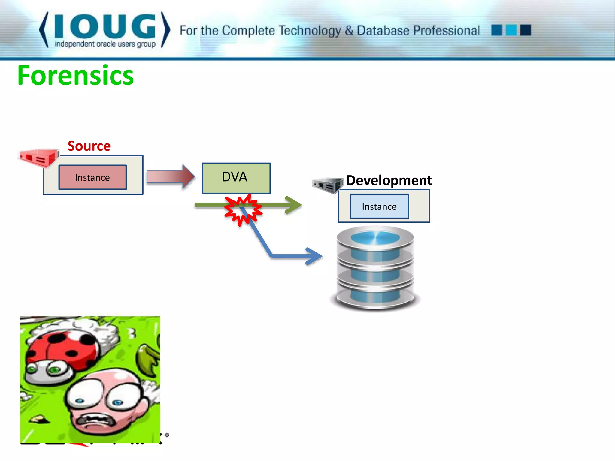 Forensics 
Instance 
DVA Development 
Instance 
Source 
 