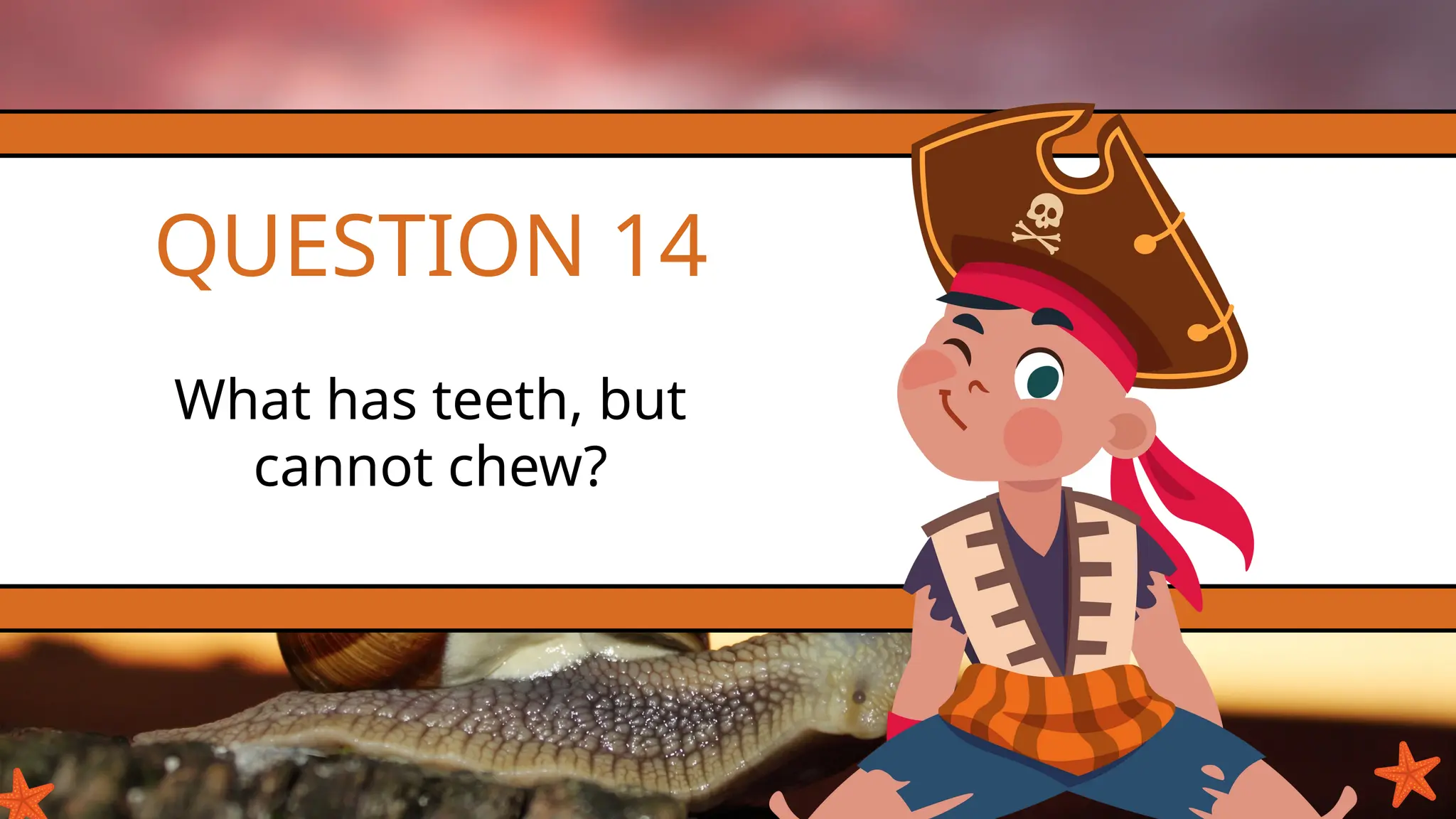 QUESTION 14
What has teeth, but
cannot chew?
 