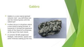 Gabbro 
 Gabbro is a very coarse-grained 
volcanic rock – you definitely can 
see the mineral grains with the 
naked eye! 
 It often occurs in situations where 
a new island is being formed. In 
Lanzarote it formed the basement 
rocks of the island of La Graciosa, 
at the top of the main island. 
 It contains 50-60% plagioclase 
feldspar, with olivine, quartz and 
other minerals making up the rest. 
 
