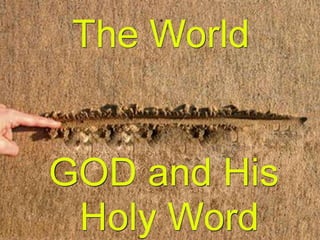 Sunday sermon 1 6-2013