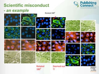 Scientific misconduct
- an example             Rotated 180o




               Rotated            Zoomed out
               180o               ?!
 
