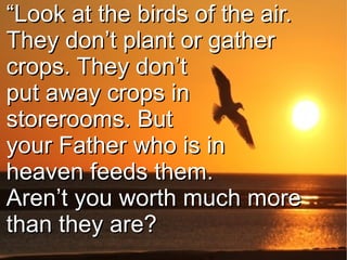 ““Look at the birds of the air.Look at the birds of the air.
They don’t plant or gatherThey don’t plant or gather
crops. They don’tcrops. They don’t
put away crops input away crops in
storerooms. Butstorerooms. But
your Father who is inyour Father who is in
heaven feeds them.heaven feeds them.
Aren’t you worth much moreAren’t you worth much more
than they are?than they are?
 