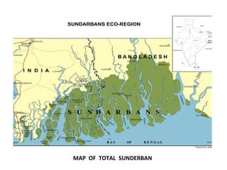 MAP OF TOTAL SUNDERBAN
 
