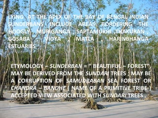 LYING AT THE APEX OF THE BAY OF BENGAL INDIAN
SUNDERBANS INCLUDE AREAS BORDERING THE
HOOGLY , MURIGANGA , SAPTAMUKHI ,THAKURAN ,
GOSABA , VIDYA , MATLA , HARINBHANGA
ESTUARIES .
ETYMOLOGY – SUNDERBAN = “ BEAUTIFUL – FOREST”,
MAY BE DERIVED FROM THE SUNDARI TREES ; MAY BE
A CORRUPTION OF SAMUDRABAN SEA FOREST OR
CHANDRA – BANDHE ( NAME OF A PRIMITIVE TRIBE )
ACCEPTED VIEW ASSOCIATED WITH SUNDARI TREES .
 