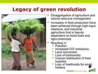 Legacy of green revolution
             Disaggregation of agriculture and
              natural resource management
             Increases in food production have
              been achieved through high-input,
              intensive, and industrial
              agriculture that is heavily
              dependent on fossil fuels and
              agro-chemicals
             Resulting in:
               • Pollution
               • Increased CO² emissions
               • Land conversion
               • Loss of biodiversity
               • Uneven distribution of food
                  supplies
               • Loss of livelihoods for small
                  holders
                          THINKING beyond the canopy
 