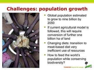 Challenges: population growth
              Global population estimated
                 to grow to nine billion by
                 2050
                If current agricultural model is
                 followed, this will require
                 conversion of further one
                 billion ha of land
                Changing diets: transition to
                 meat-based diet very
                 inefficient use of resources
                How to feed the world’s
                 population while conserving
                 biodiversity?
                             THINKING beyond the canopy
 