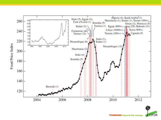 THINKING beyond the canopy
 