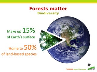 Forests matter
                        Biodiversity




   Make up  15%
   of Earth’s surface

     Home to 50%
of land-based species


                                       THINKING beyond the canopy
 