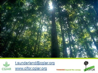 t.sunderland@cgiar.org
www.cifor.cgiar.org      THINKING beyond the canopy
 