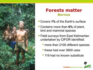 Forests matter
             Borneo

 Covers 1% of the Earth’s surface
 Contains more than 6% of plant,
 bird and mammal species
 Field surveys from East Kalimantan
 undertaken by CIFOR identified:
  • more than 2100 different species
  • these had over 3600 uses
  • 119 had no known substitute

                 THINKING beyond the canopy
 