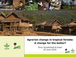 Agrarian change in tropical forests:
A change for the better?
Terry Sunderland & team
22 June 2016
 