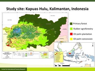 Agrarian change in tropical forests: A change for the better?
