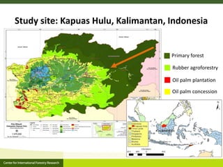 Agrarian change in tropical forests: A change for the better?
