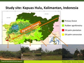 Agrarian change in tropical forests: A change for the better?