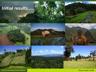 Agrarian change in tropical forests: A change for the better?