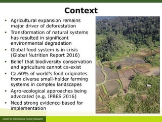Agrarian change in tropical forests: A change for the better?