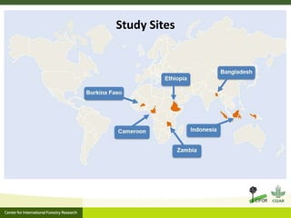 Agrarian change in tropical forests: A change for the better?