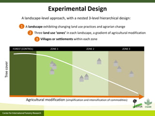 Agrarian change in tropical forests: A change for the better?