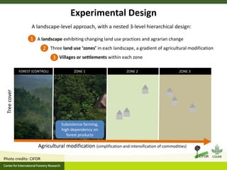 Agrarian change in tropical forests: A change for the better?