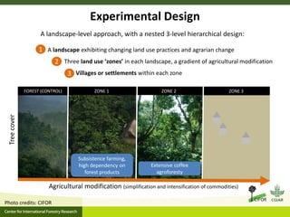 Agrarian change in tropical forests: A change for the better?