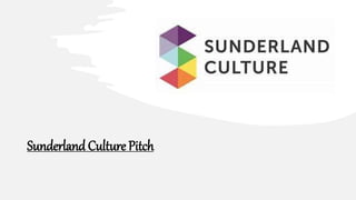 Sunderland Culture Pitch
 