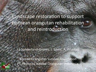 Landscape restoration to support
Bornean orangutan rehabilitation
and reintroduction
J.L Sunderland-Groves, J. Sihite, A. Priadjati
Borneo Orangutan Survival Foundation
PT. Restorasi Habitat Orangutan Indonesia
 