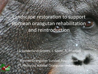 Landscape restoration to support
Bornean orangutan rehabilitation
and reintroduction
J.L Sunderland-Groves, J. Sihite, A. ...