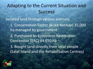 Landscape restoration to support Bornean orangutan rehabilitation and reintroduction