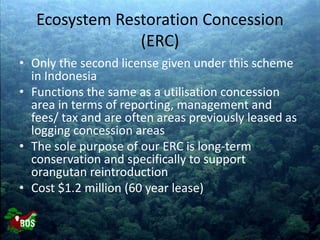 Landscape restoration to support Bornean orangutan rehabilitation and reintroduction