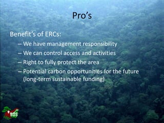 Landscape restoration to support Bornean orangutan rehabilitation and reintroduction