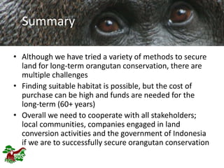 Landscape restoration to support Bornean orangutan rehabilitation and reintroduction